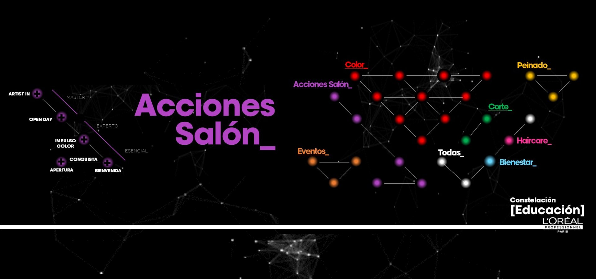 L'Oréal Professionnel Education Acciones Salón